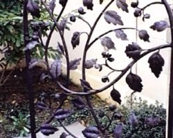 Cottonwood Patio Gate Cottonwood Patio Gate in Atlanta, GA