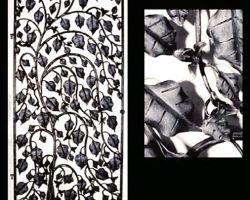 Bougainvillea Garden Gate in Alabama Bougainvillea Garden Gate